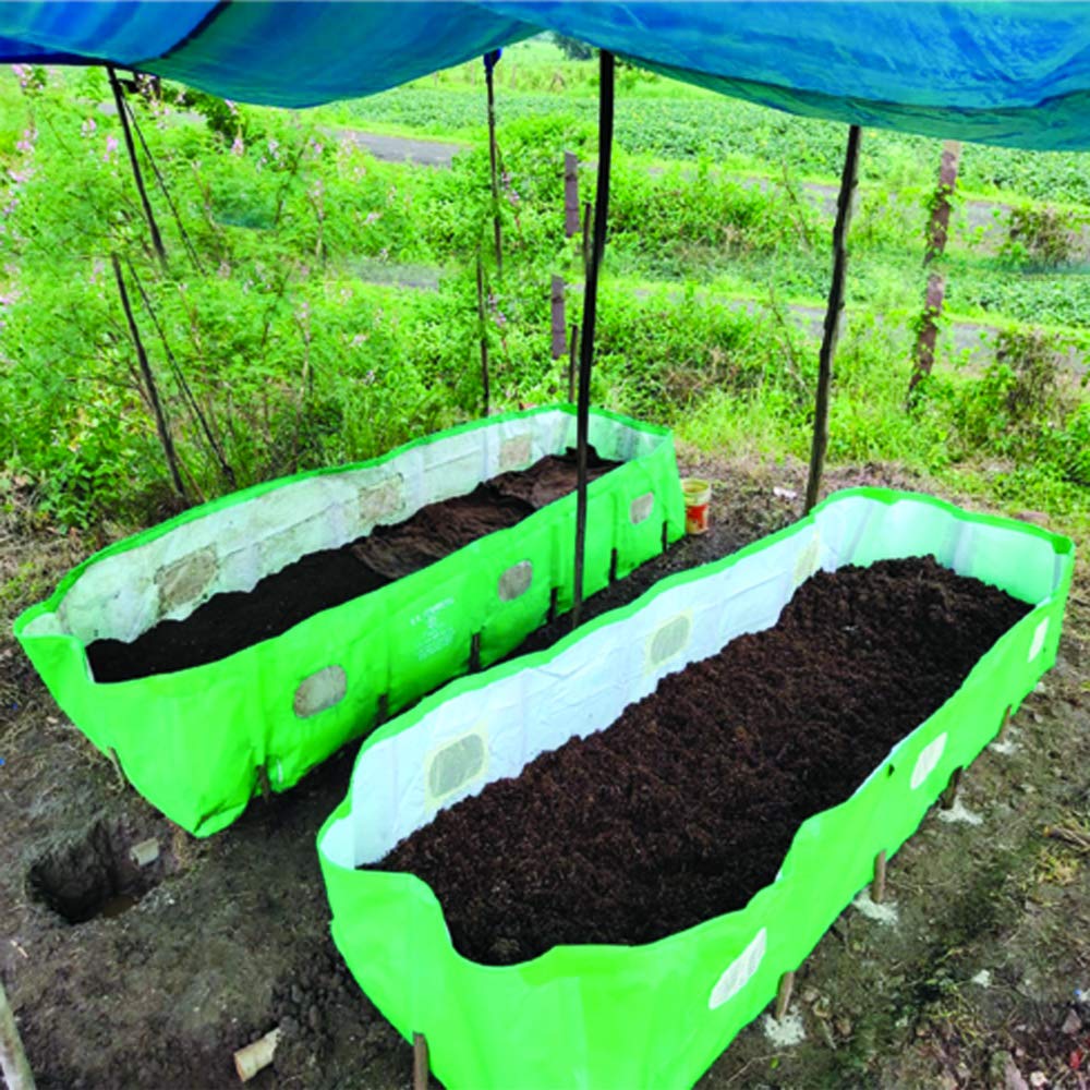 Vermi Bed - A Complete Guide