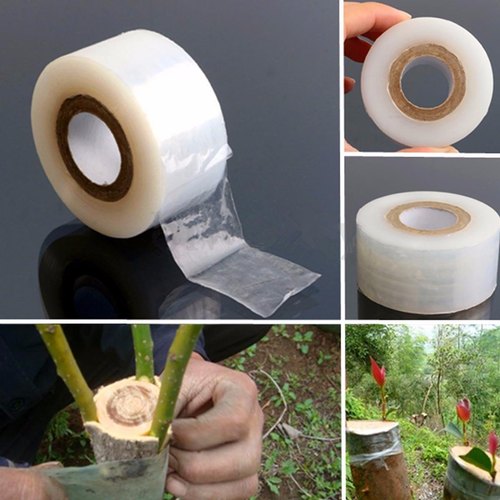 Grafting Tape 1 inch ( 700 Meter roll)