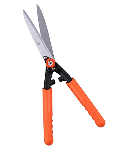 Hedge Shear
