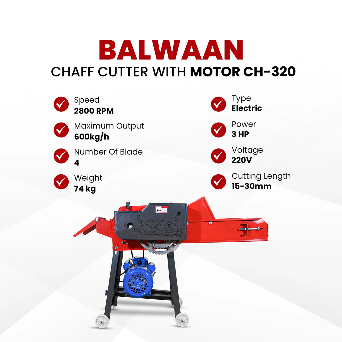 Balwaan Chaff Cutter (With Gear, Motor &Conveyor Belt) CH-320 - image 7