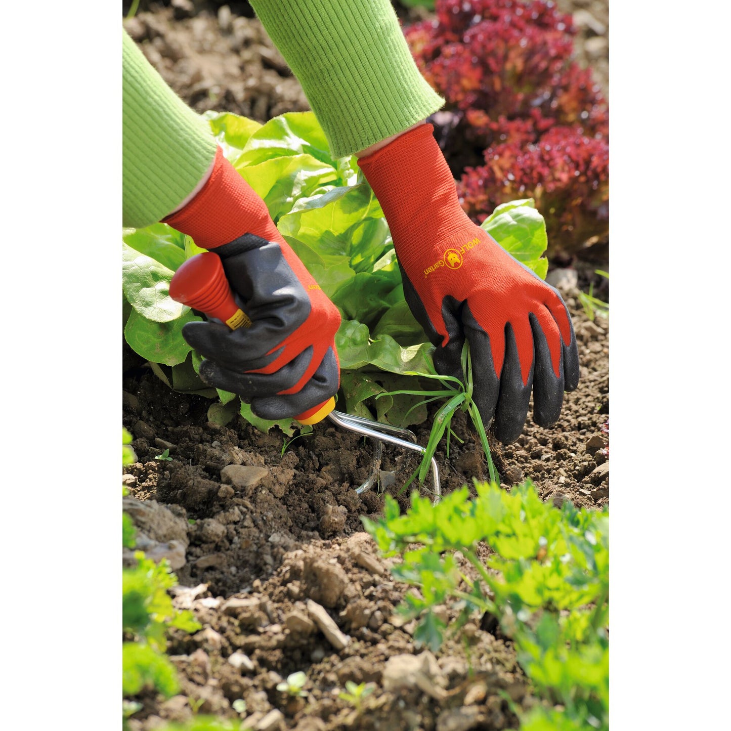 BED-GLOVES