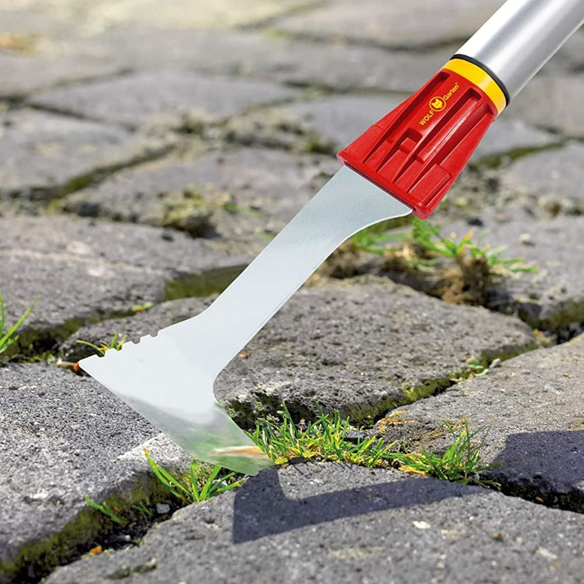 WOLF-Garten FK-M Joint Scraper (Multi-Star Head) - image 3