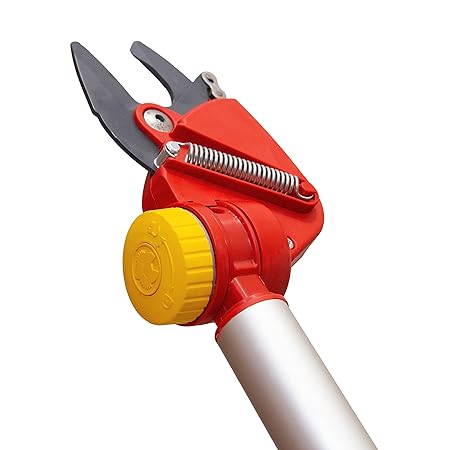 Power Dual Cut
