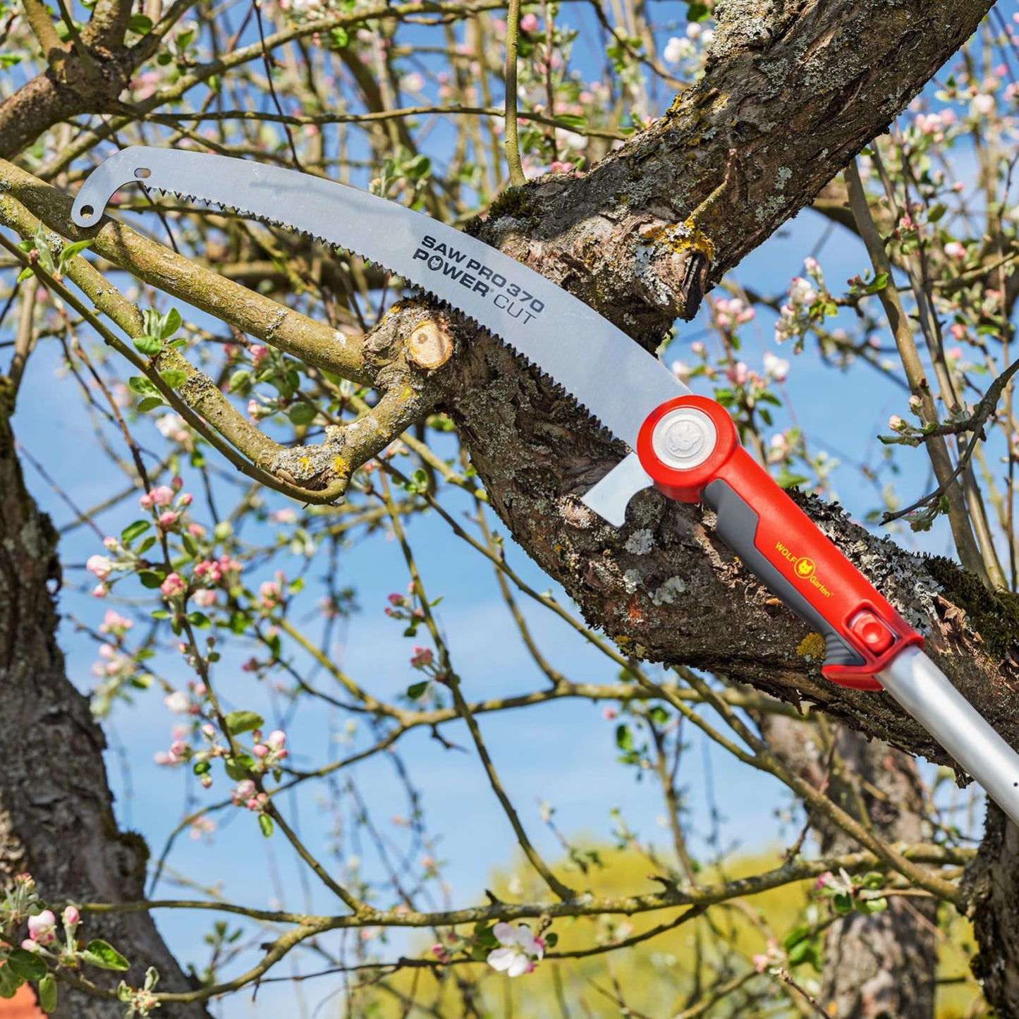 PRUNING SAW
