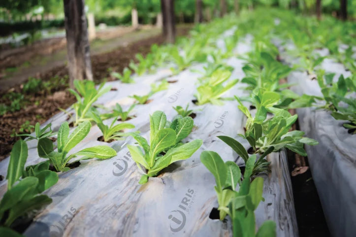 Mulching film