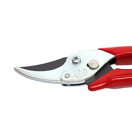 ANVIL SECATEURS