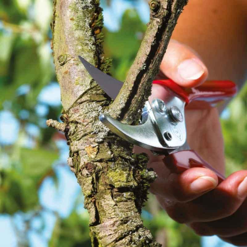 BYPASS SHEAR