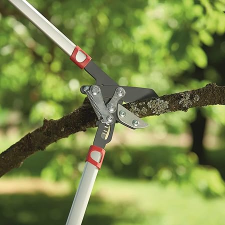 Anvil Lopper (TWO DIFFERENT CUTTING)