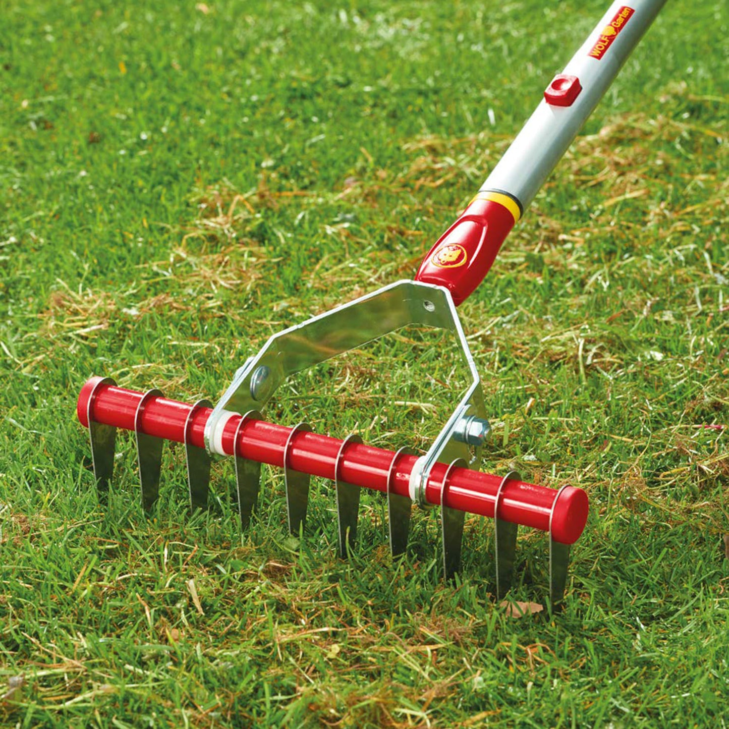 PENDULUM-SCARIFIER