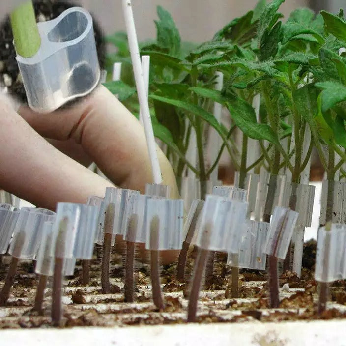 Grafting clip - image 4
