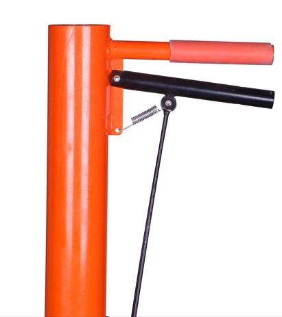 Vegetable transplanter