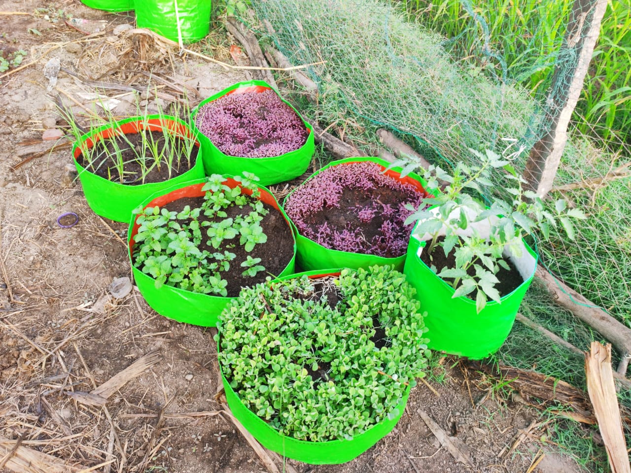 Grow Bag