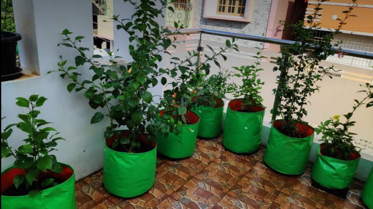 Grow Bag