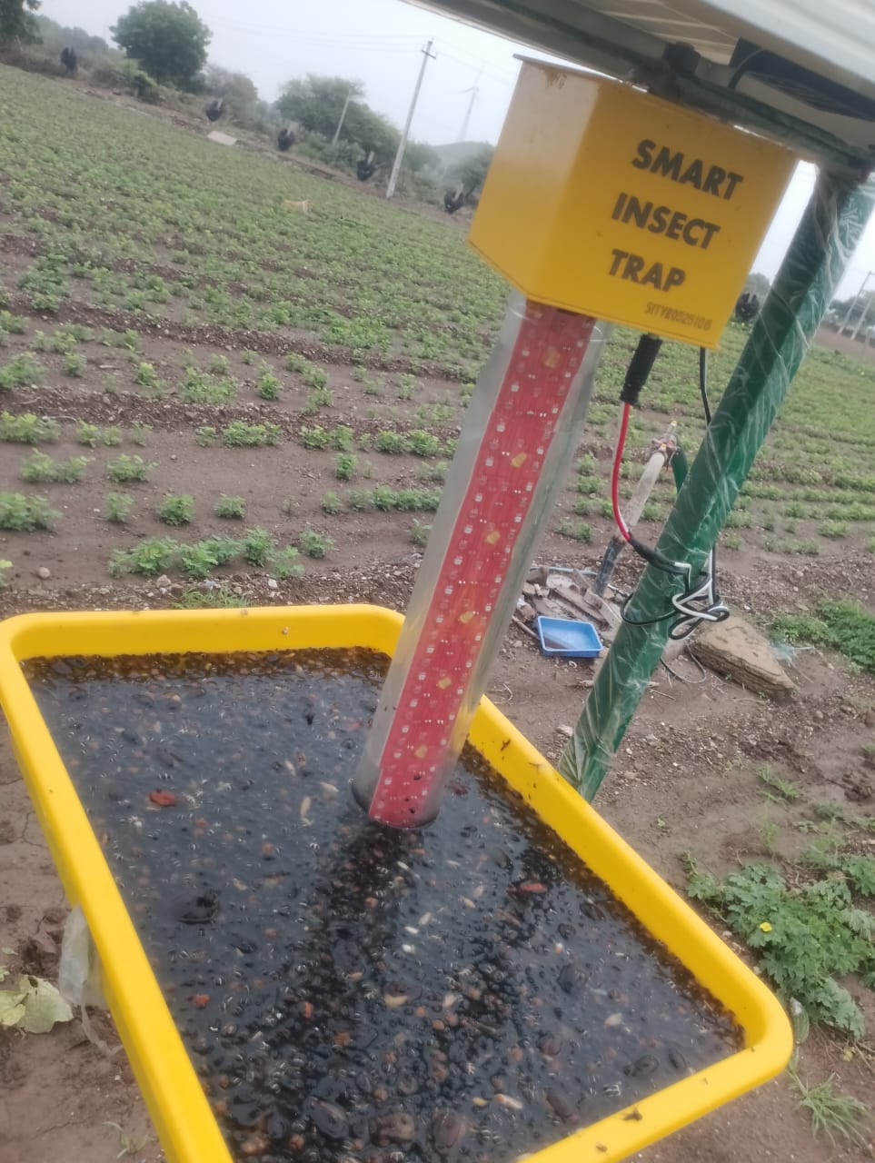 Smart Insect Trap