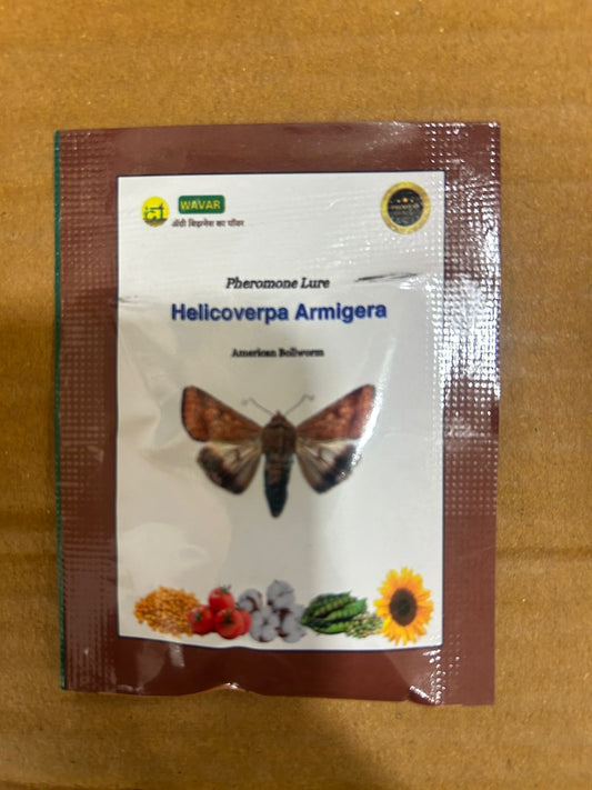 Helicoverpa Amrigera Lure