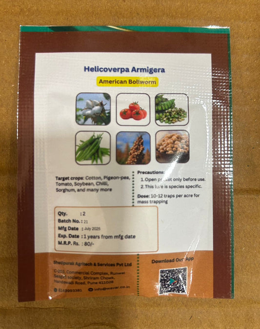 Helicoverpa Amrigera Lure