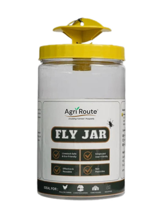 House Fly Trap with lure