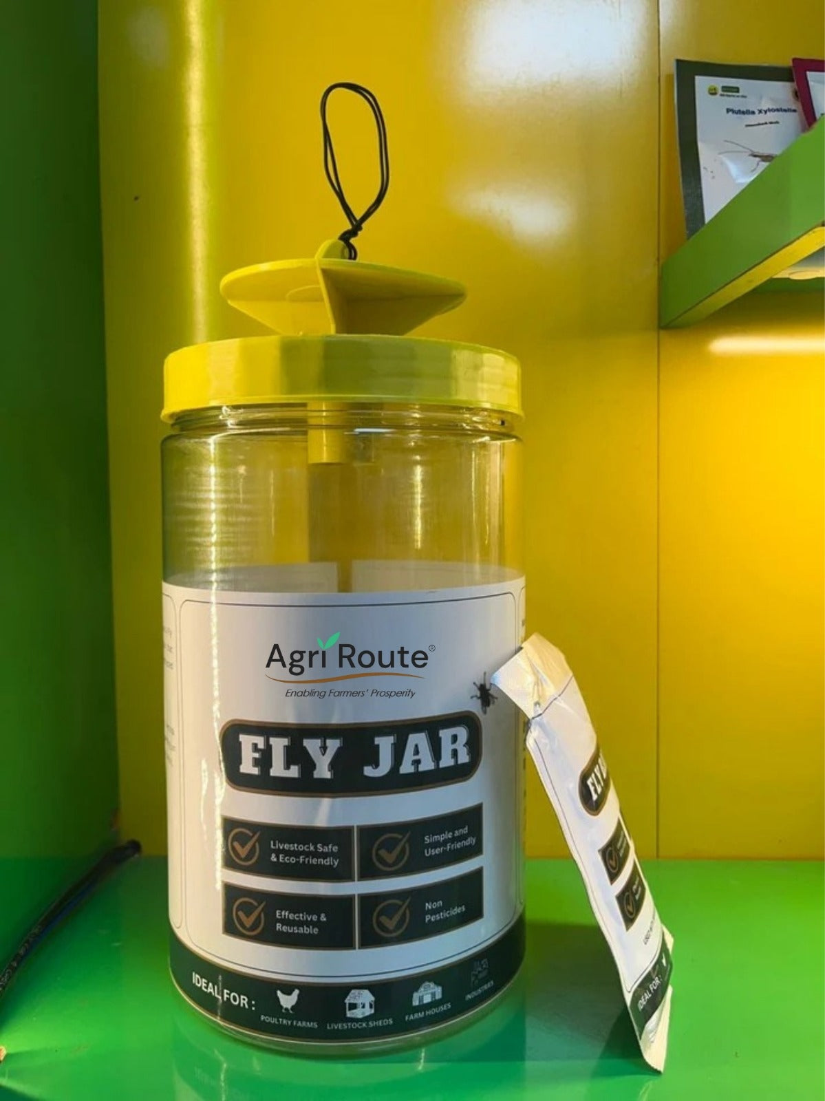 House Fly Trap with lure