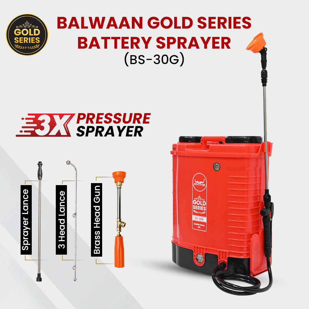 Balwaan Gold Series Battery Sprayer BS-30G