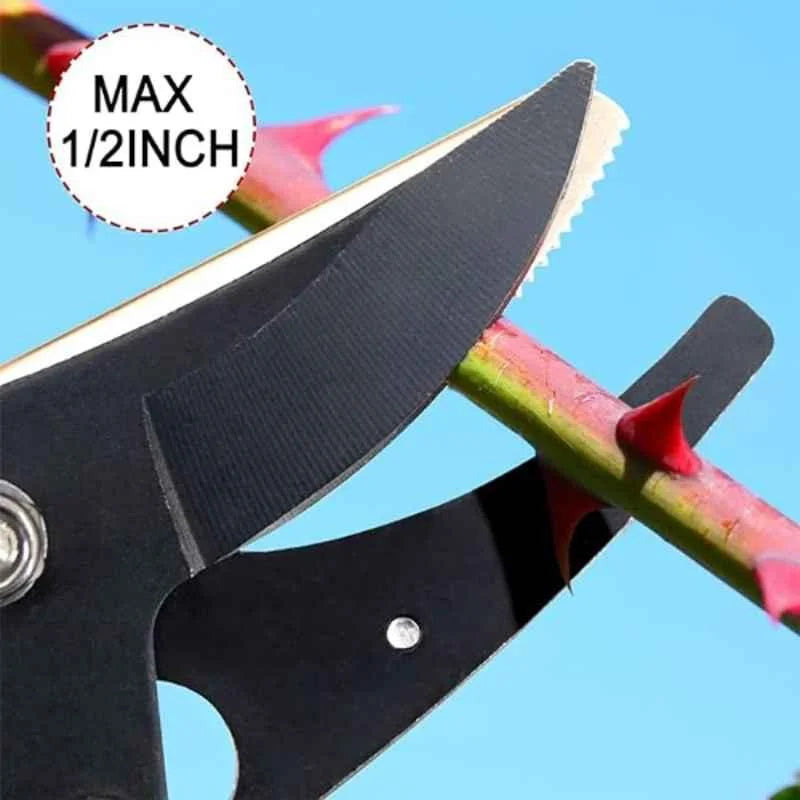 Premium Long Reach Cut & Hold Pruner