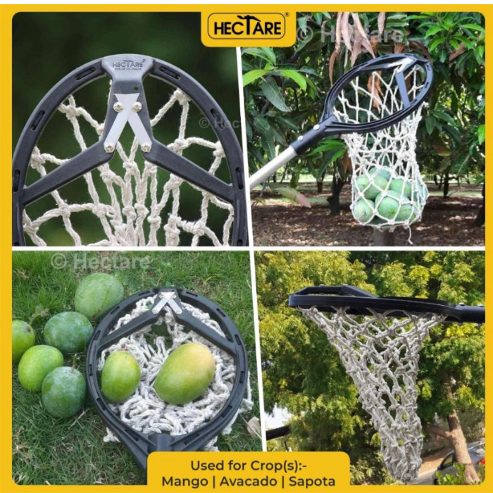 Mango Picker With Adjustable Pole