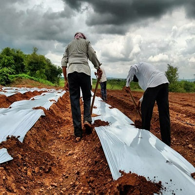 Mulch Film - 4ft, 400 meter, 25 Micron
