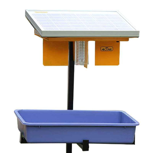 Hectare Jambo 10 watt solar trap