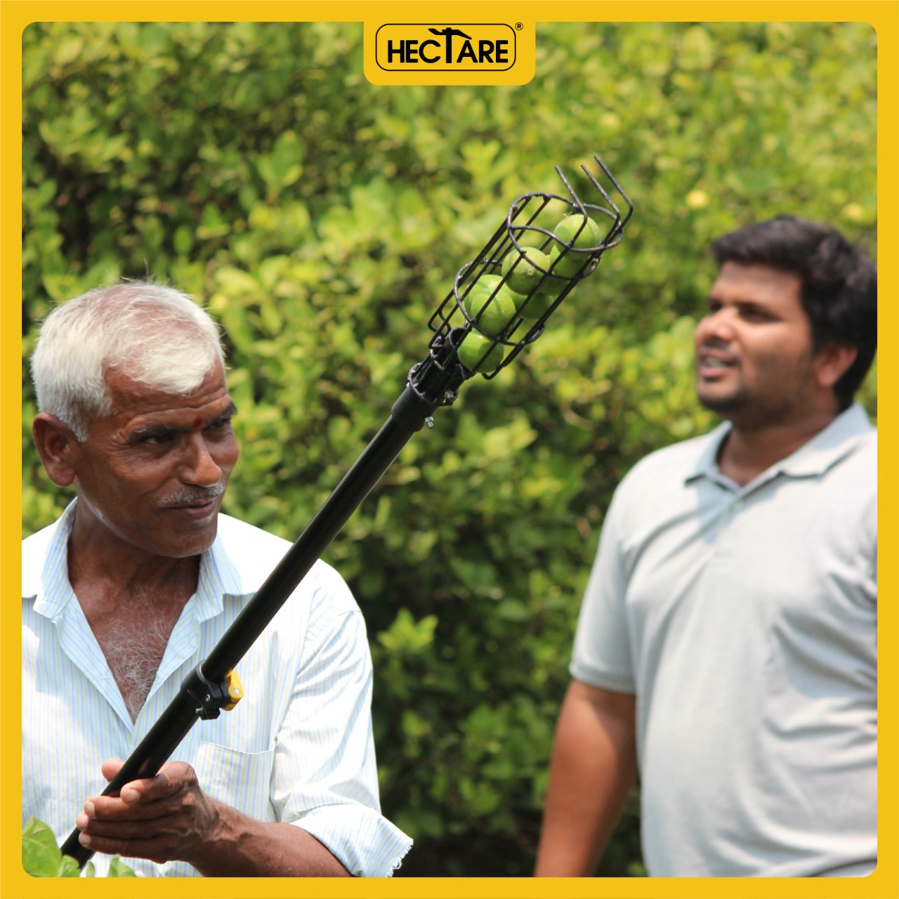 Lemon Picker with Pole _Hectare
