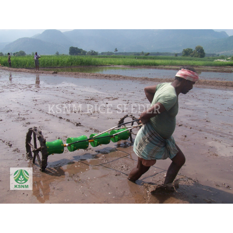 Direct Paddy Seeder