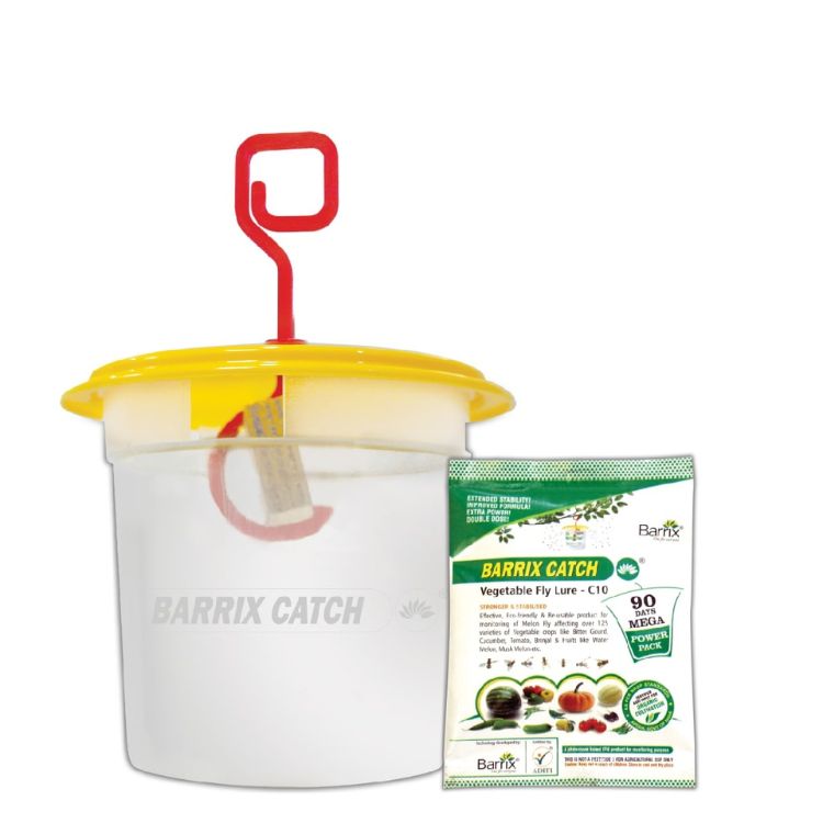 Barrix Catch Vegetable Fly Trap Set (Set of 3 Pieces)