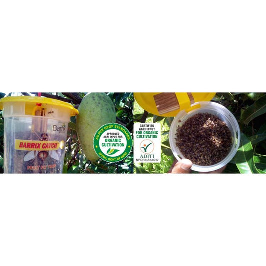 Barrix Catch Fruit Fly Trap (Set of 4 piece)
