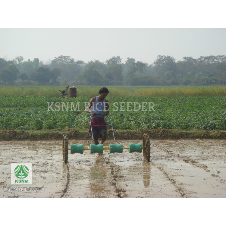 Direct Paddy Seeder