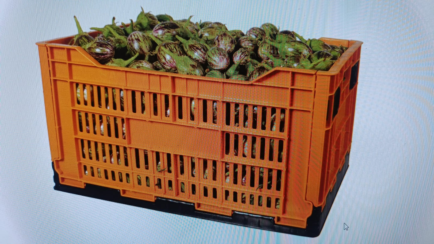 Foldable Multi Utility Plastic Crates