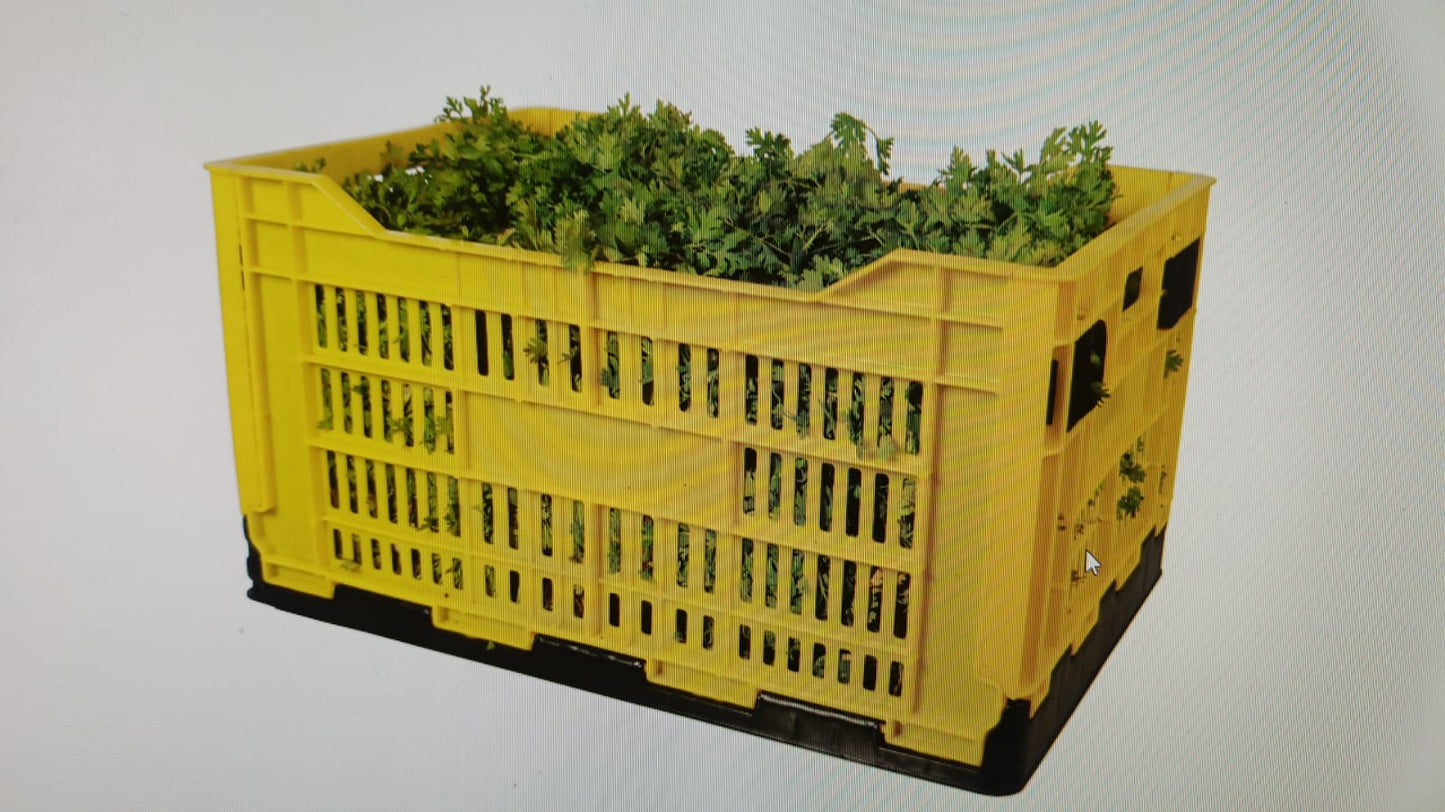 Foldable Multi Utility Plastic Crates