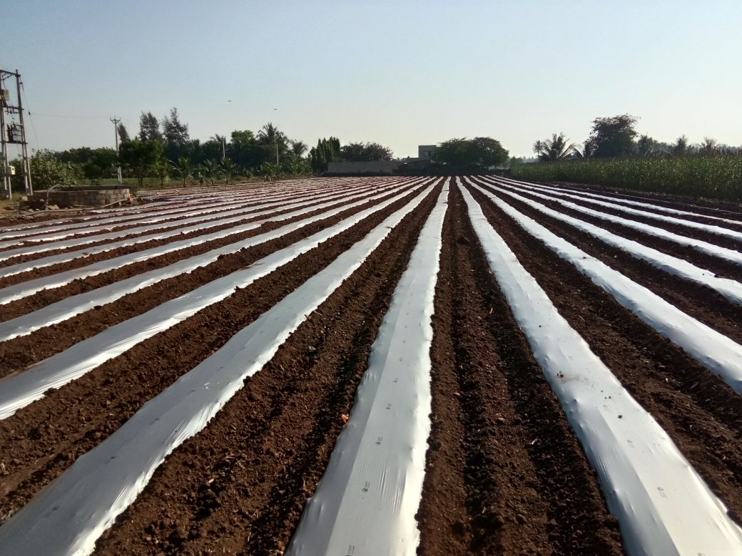 Meter Mulching Roll
