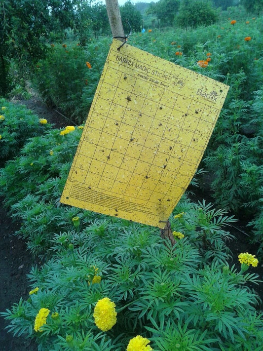 Barrix Magic Sticker - Yellow Sheet ( Set of 10 piece)