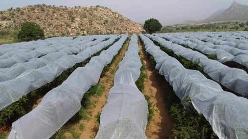 Crop Protection Cover