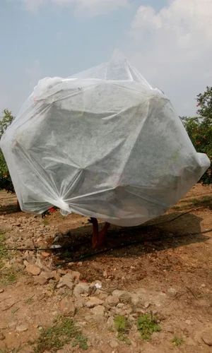 Crop Protection Cover