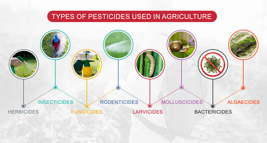 Which Pesticide Types Are Used in Agriculture?
