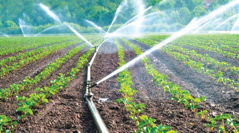 Benefits of Micro Irrigation Systems