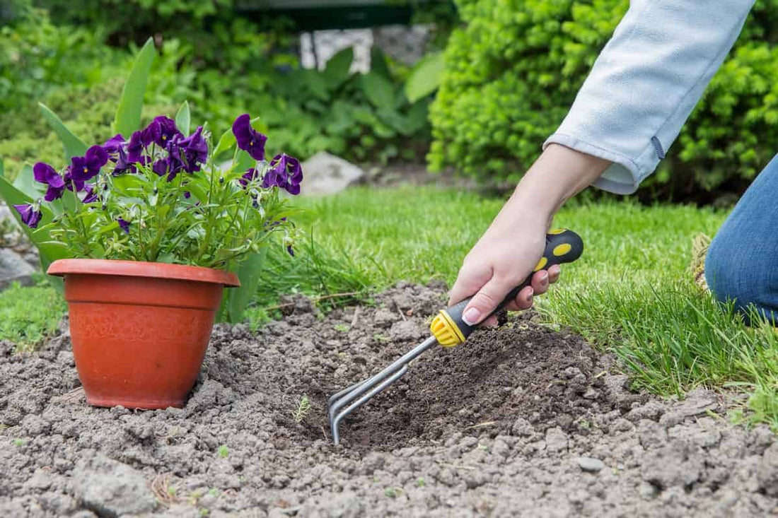 Benefits of Using The Right Gardening Tools