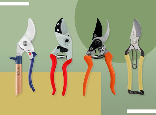 Everything you need to know about secateurs