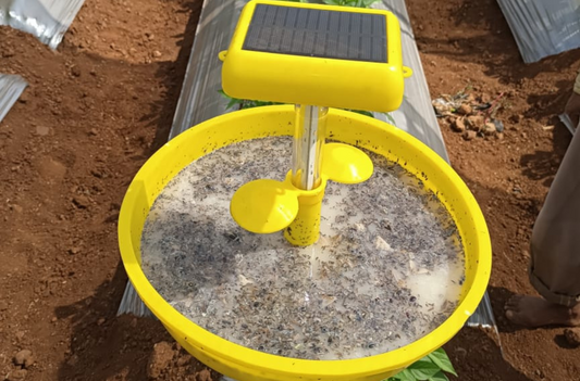 What Is the Use of Solar Light Trap?