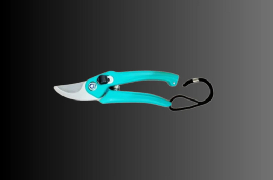 Pruning Shears vs. Garden Scissors: Key Differences Every Gardener Must Know