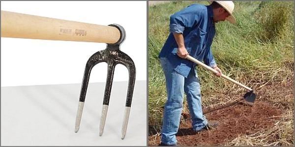 सर्वश्रेष्ठ हाथ उपकरण जो आपके खेत को लाभ पहुंचा सकते हैं और जो आपके पास होने चाहिए
