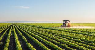 कृषि का भविष्य: कैसे प्रौद्योगिकी खेती में क्रांति ला रही है