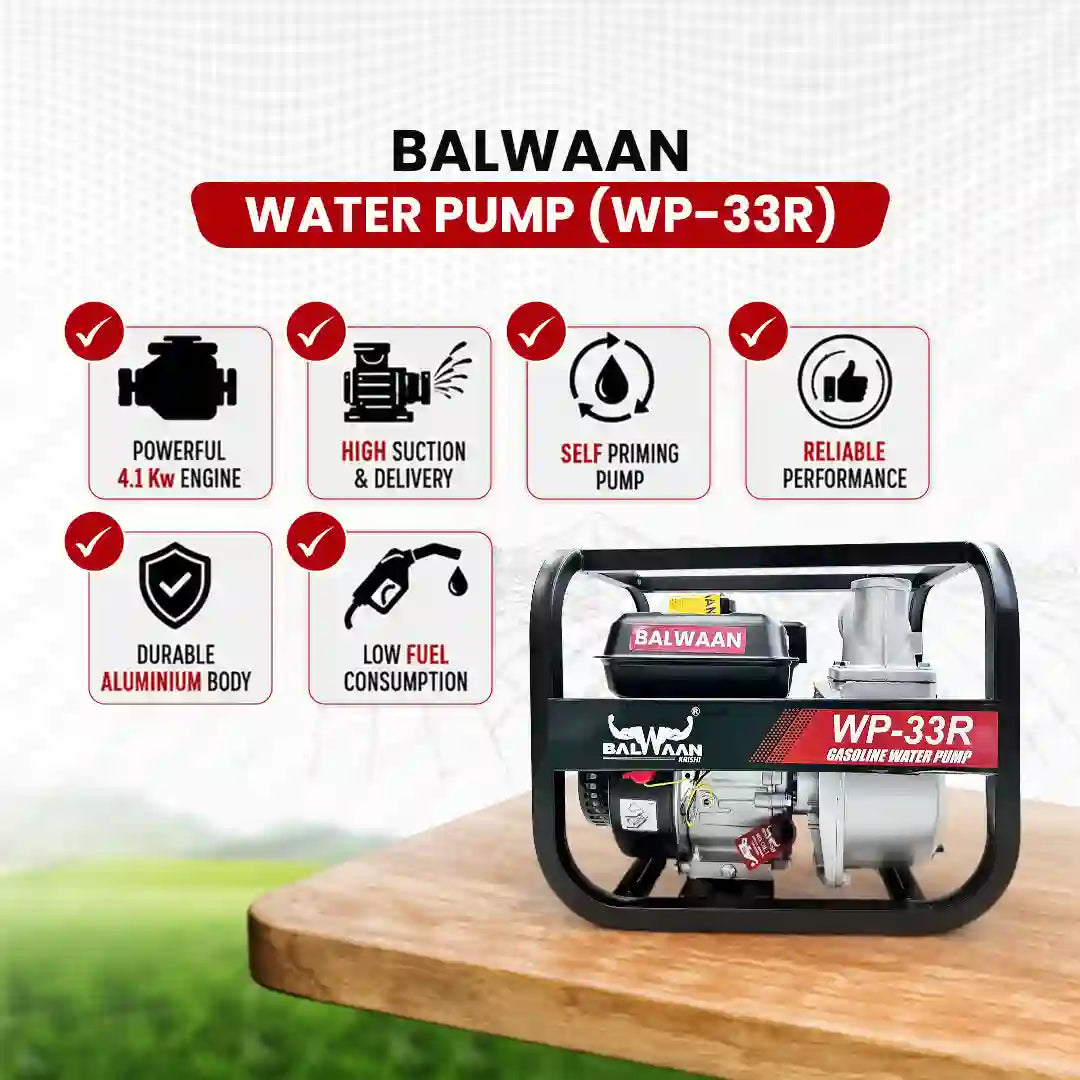 Balwaan Water Pump 3X3 Inch - (Premium) WP-33R - image 7