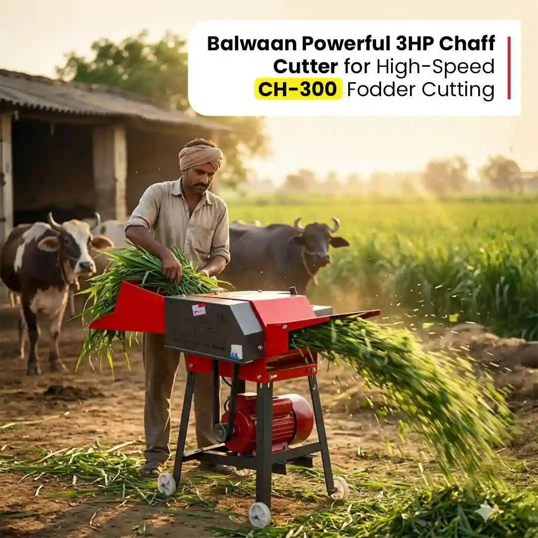 Balwaan ChaffCutter(With Gear & Motor) CH-300 - image 4