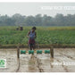 KSNM Direct Paddy Seeder | 20 x 20 cm | 8 Rows - image 2