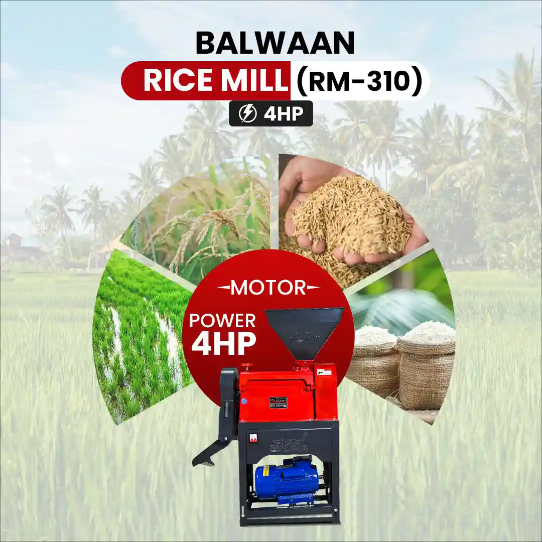 Balwaan Rice Mill CI Model RM-310 - image 3